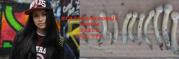 метадон Белокуриха