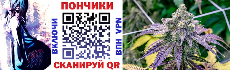 Бошки марихуана Bruce Banner  цены   KRAKEN tor  Онега 